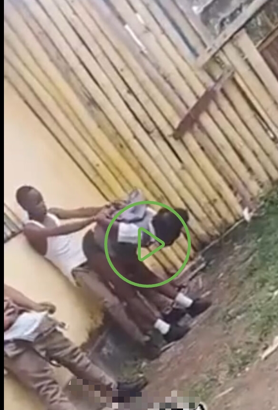 High school girl gets fuck at school backyard